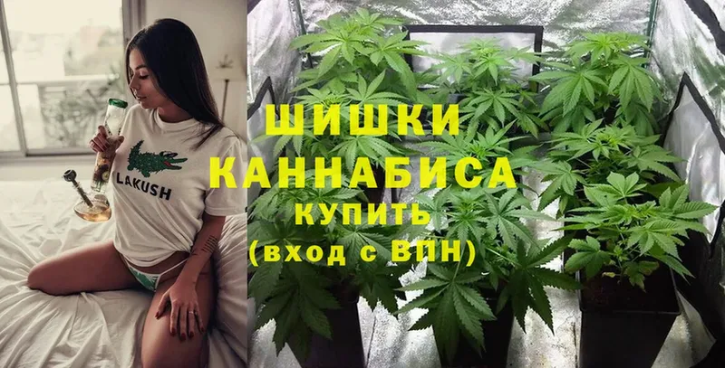 Конопля LSD WEED  купить закладку  ссылка на мегу ссылки  Рубцовск 